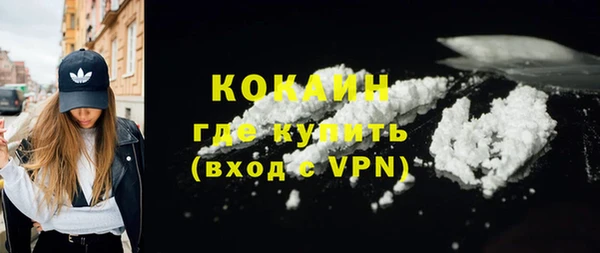 шишки Балахна