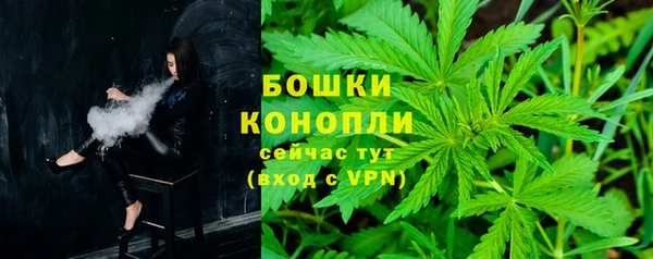 шишки Баксан