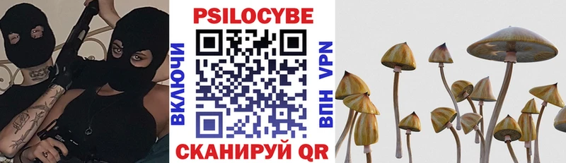 Псилоцибиновые грибы ЛСД MEGA как зайти Свирск даркнет сайт